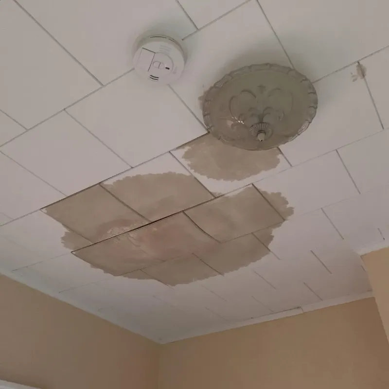 Ceiling Water Damage Repair in La Cygne, KS
