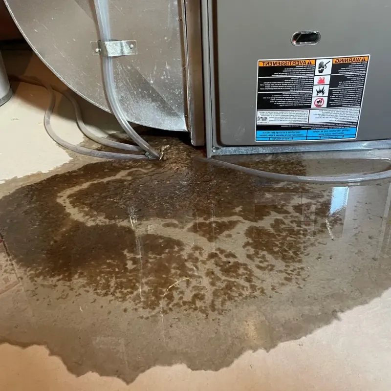Pipe Burst and Leak Restoration in La Cygne, KS