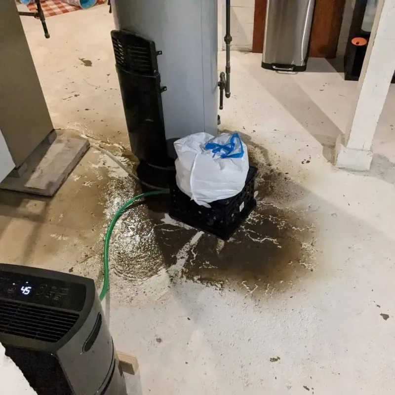 Sewage Backup Cleanup Service in La Cygne, KS